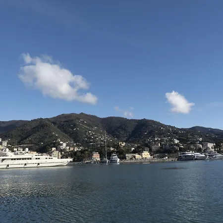 Firefly * Rapallo