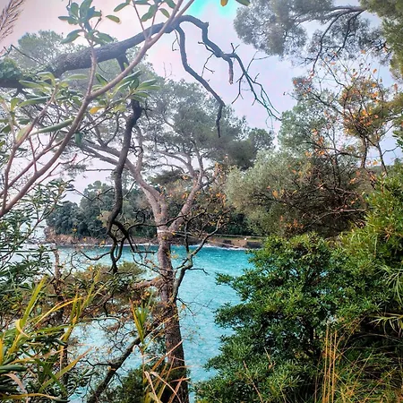 Apartamento Firefly *