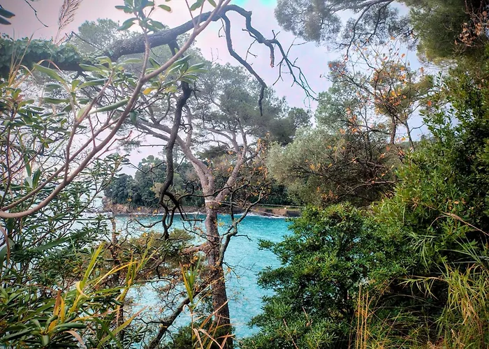 Apartamento Firefly *